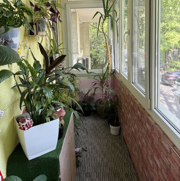 Apartament 2 camere zona Mihaleche